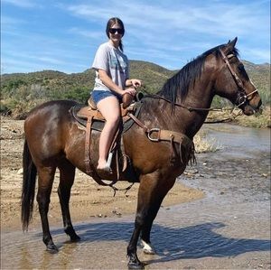 Meet your Posher, Sky